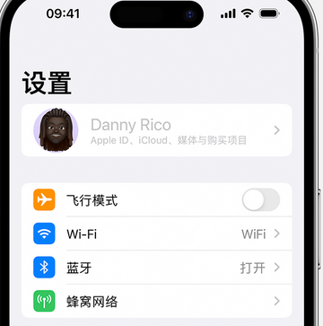 岳麓appleID维修服务iPhone设置中Apple ID显示为灰色无法使用 