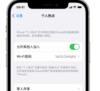 岳麓apple服务站点分享iPhone上个人热点丢失了怎么办 