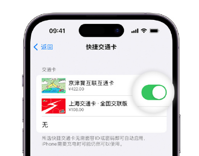 岳麓apple维修点分享iPhone上更换Apple Pay快捷交通卡手绘卡面 