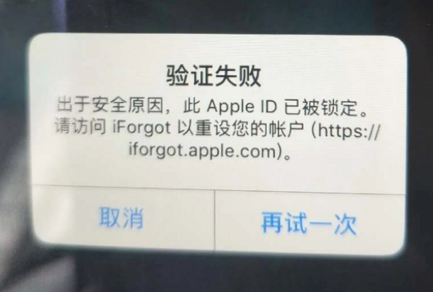 岳麓iPhone维修分享iPhone上正常登录或使用AppleID怎么办 