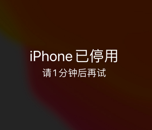 岳麓苹果手机维修分享:iPhone 显示“不可用”或“已停用”怎么办？还能保留数据吗？ 