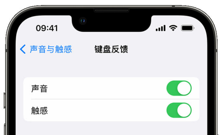 岳麓苹果手机维修分享iPhone 14触感键盘使用方法 