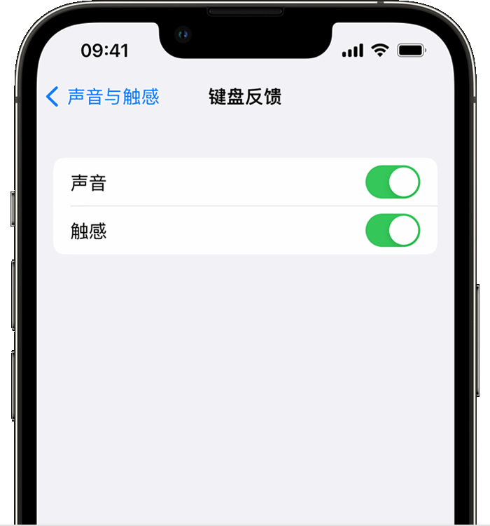 岳麓苹果14维修店分享如何在 iPhone 14 机型中使用触感键盘 