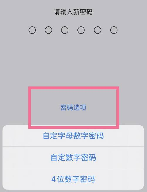 岳麓苹果14维修分享iPhone 14plus设置密码的方法 