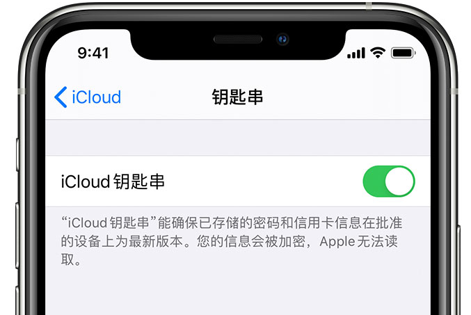 岳麓苹果手机维修分享在 iPhone 上开启 iCloud 钥匙串之后会储存哪些信息 