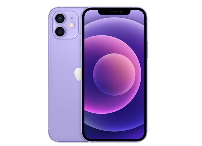 岳麓苹果手机维修分享现阶段要不要入手紫色版iPhone12 