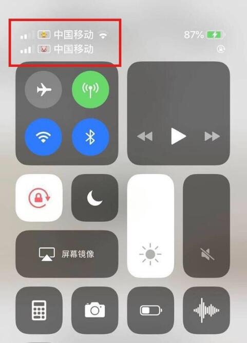 岳麓苹果手机维修分享为 iPhone 12 双卡设置标签 