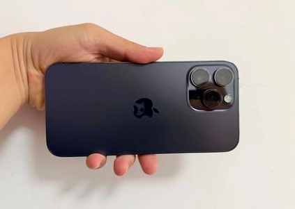 岳麓苹果维修点分享iPhone 14 Pro Max黑屏少见故障盘点 