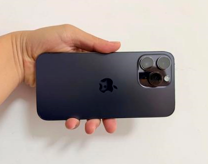 岳麓苹果维修点分享iPhone 14 Pro Max发烫多重诱因剖析 